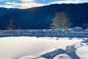 IMG-20210124-WA0009